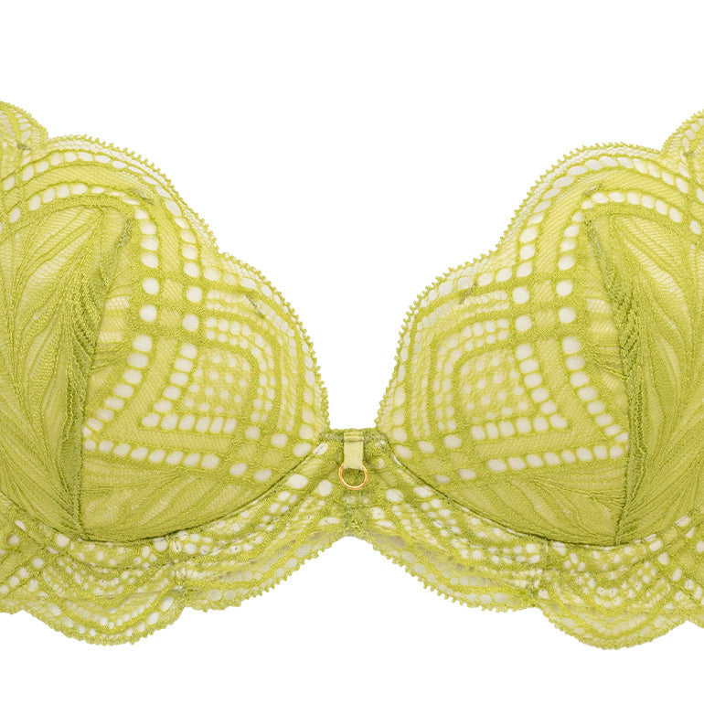 Naomi Push-Up Plunge Bra