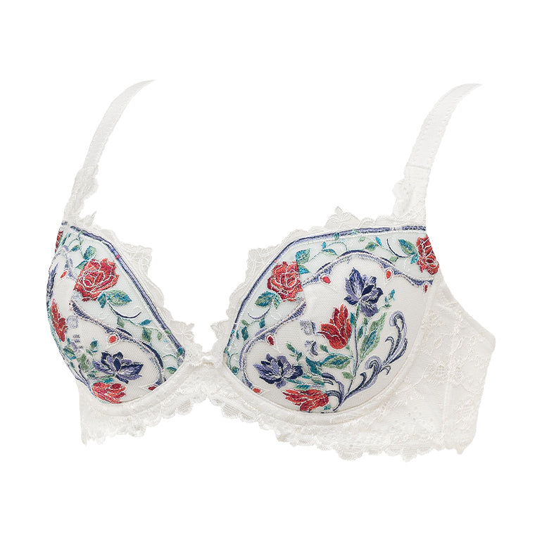 Naomi Push-Up Plunge Bra