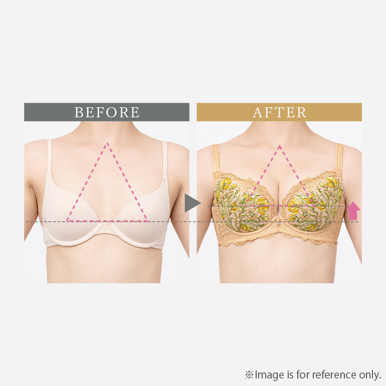 Belle Push-Up Plunge Bra