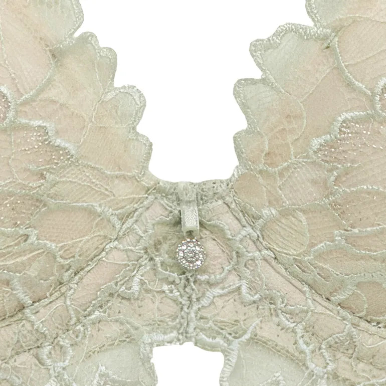 Naomi Push-Up Plunge Bra