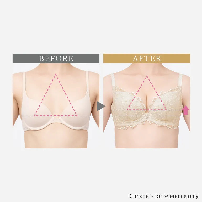 Naomi Push-Up Plunge Bra